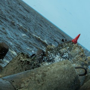 От Байкала до Ладоги: 9 августа Росводресурсы и «Аптекарский огород» покажут Россию в формате 360° 3
