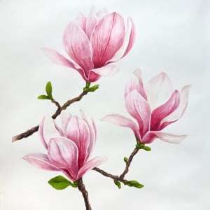 До 13 апреля — выставка ботанической иллюстрации "Репетиция весны" в "Аптекарском огороде" 0