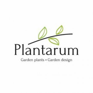 Plantarum — Растения для сада