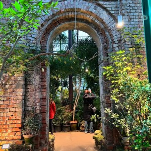 Приглашаем на новую экскурсию «Жизнь за стеклом: тропики и субтропики» в выходные! 5