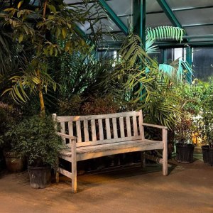 Новая интерактивная экскурсия для детей по оранжереям в Аптекарском огороде! 6