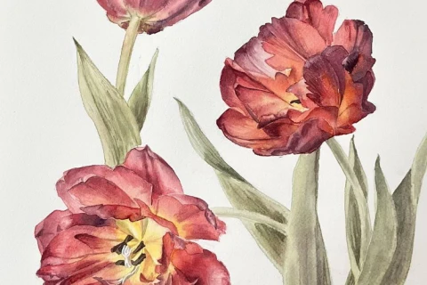 До 13 апреля — выставка ботанической иллюстрации 