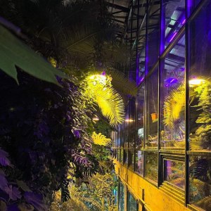 Новая интерактивная экскурсия для детей по оранжереям в Аптекарском огороде! 1