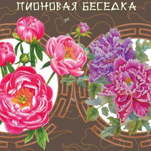 Выставка «Пионовая беседка» открылась в «Аптекарском огороде» 4