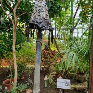 Выставка «Грибное место» открылась в субтропиках «Аптекарского огорода» 0