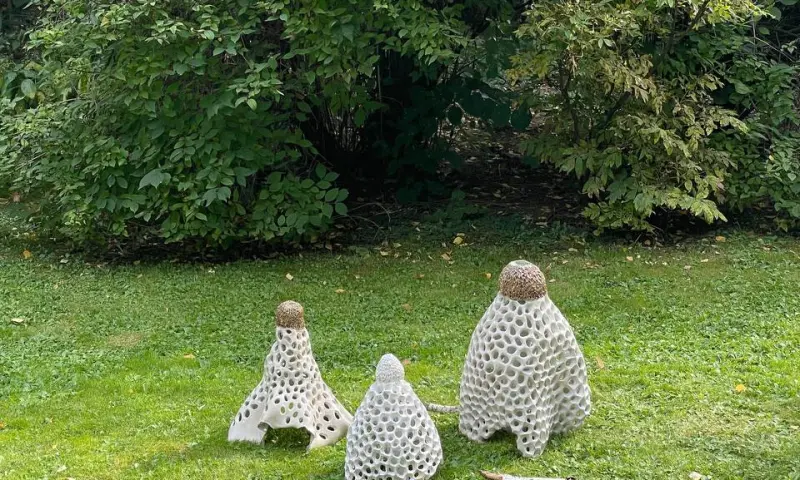 Выставка "Грибное место" открылась в "Аптекарском огороде" Выставка "Грибное место" открылась в "Аптекарском огороде"