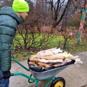 Выставка «Грибное место» открылась в субтропиках «Аптекарского огорода» 5