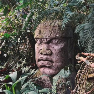 Новая интерактивная экскурсия для детей по оранжереям в Аптекарском огороде! 0