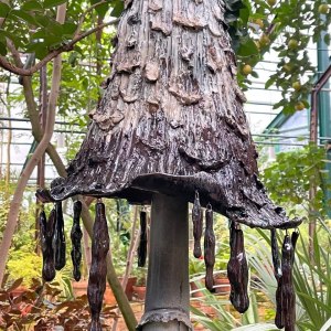 Выставка «Грибное место» открылась в субтропиках «Аптекарского огорода» 4