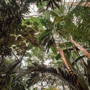 Новая экскурсия «Осень и весна разных полушарий в одном саду» — с 13 сентября 4 Новая экскурсия «Осень и весна разных полушарий в одном саду» — с 13 сентября 4