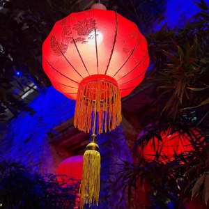 С 27 февраля в &laquo;Аптекарском огороде&raquo; стартуют вечерние экскурсии по тропикам 4