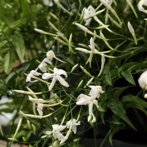 Афиша мастер-классов и экскурсий 20 и 21 декабря 3 Афиша мастер-классов и экскурсий 20 и 21 декабря 3