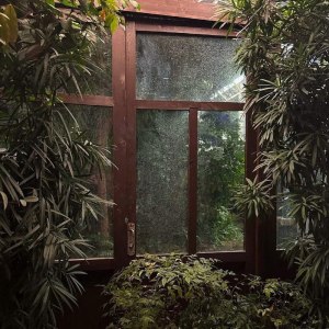 Новая интерактивная экскурсия для детей по оранжереям в Аптекарском огороде! 4