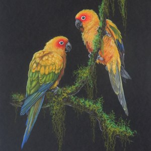 Выставка живописи «Флора и фауна Бразилии» — с 7 октября до 2 декабря в «Аптекарском огороде» 2