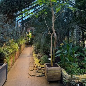 Афиша мастер-классов и экскурсий 20 и 21 декабря 5 Афиша мастер-классов и экскурсий 20 и 21 декабря 5