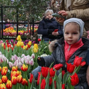 Персидский сад с тысячами тюльпанов откроется 22 февраля в "Аптекарском огороде" 2