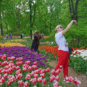 Весенний фестиваль цветов — с 12 апреля до июня в "Аптекарском огороде" 0