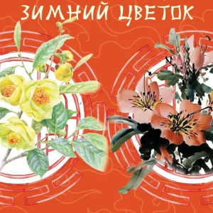 Выставка "Зимний цветок" — с 6 по 29 февраля в "Аптекарском огороде" 5