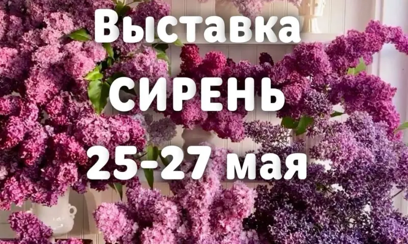 Бесплатные мастер-классы на выставке сирени пройдут 26 и 27 мая в Аптекарском огороде Бесплатные мастер-классы на выставке сирени пройдут 26 и 27 мая в Аптекарском огороде