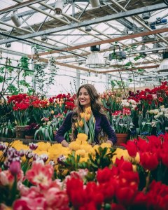 Тысячи тюльпанов расцветут к 11 февраля в "Аптекарском огороде" 3