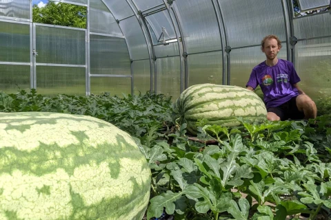 Как вырастить самый большой арбуз в мире? Бесплатные лекции 12 октября