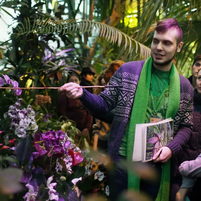 Премьера экскурсии «Новогоднее путешествие в тропики» — с 31 декабря!