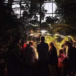 Новая интерактивная экскурсия для детей по оранжереям в Аптекарском огороде! 3