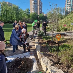 Яблоню Победы в память о героях Великой Отечественной войны посадили в Аптекарском огороде 2